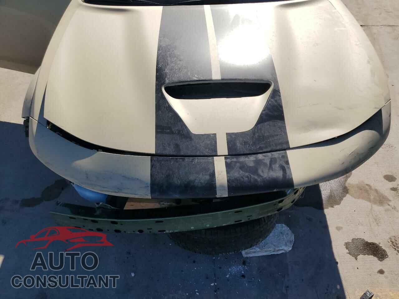 DODGE CHARGER 2021 - 2C3CDXGJ5MH667631