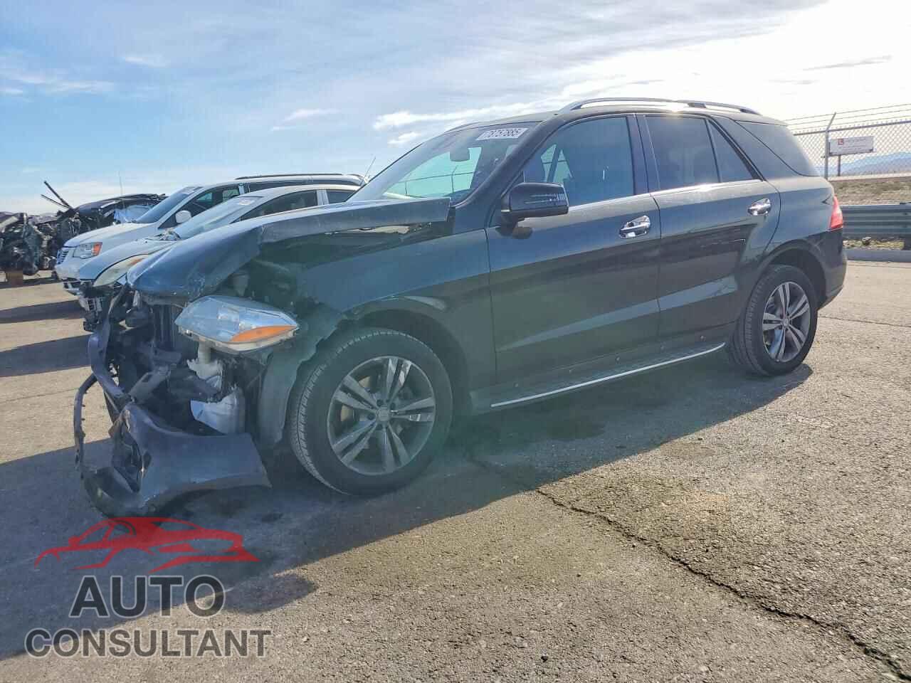 MERCEDES-BENZ M-CLASS 2014 - 4JGDA5HB8EA415579
