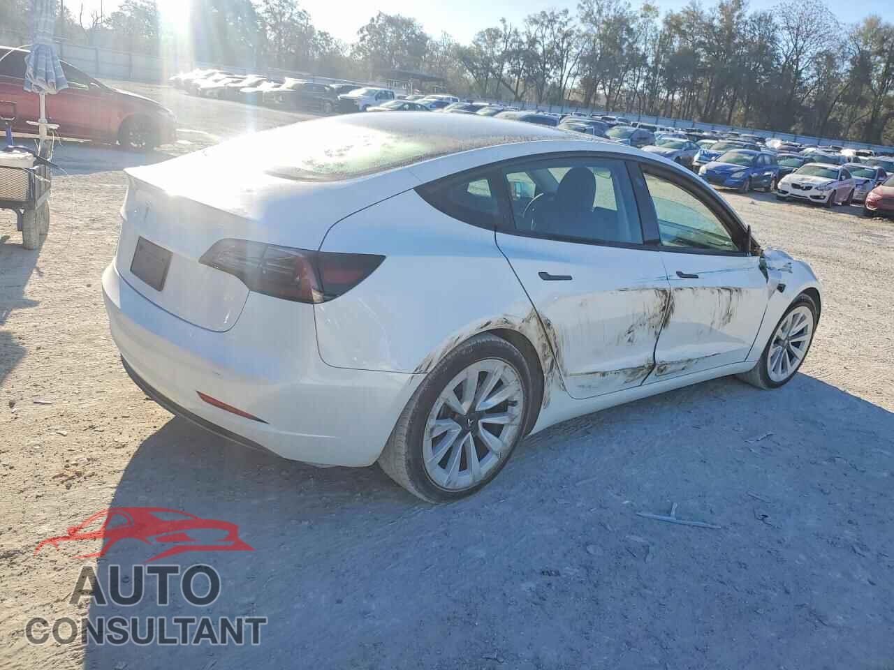 TESLA MODEL 3 2023 - 5YJ3E1EA2PF562841