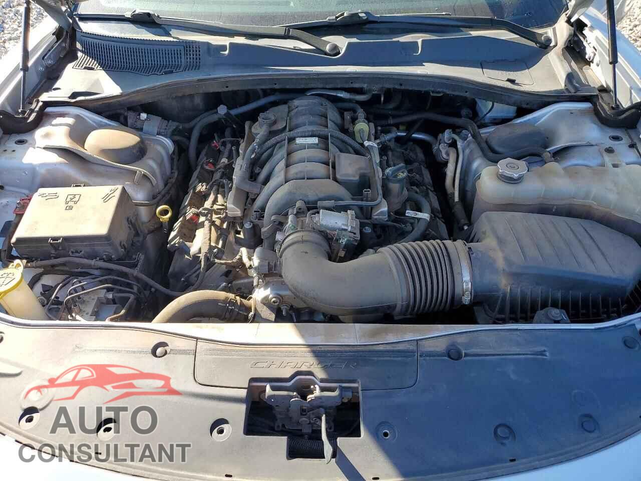 DODGE CHARGER 2020 - 2C3CDXKTXLH190878