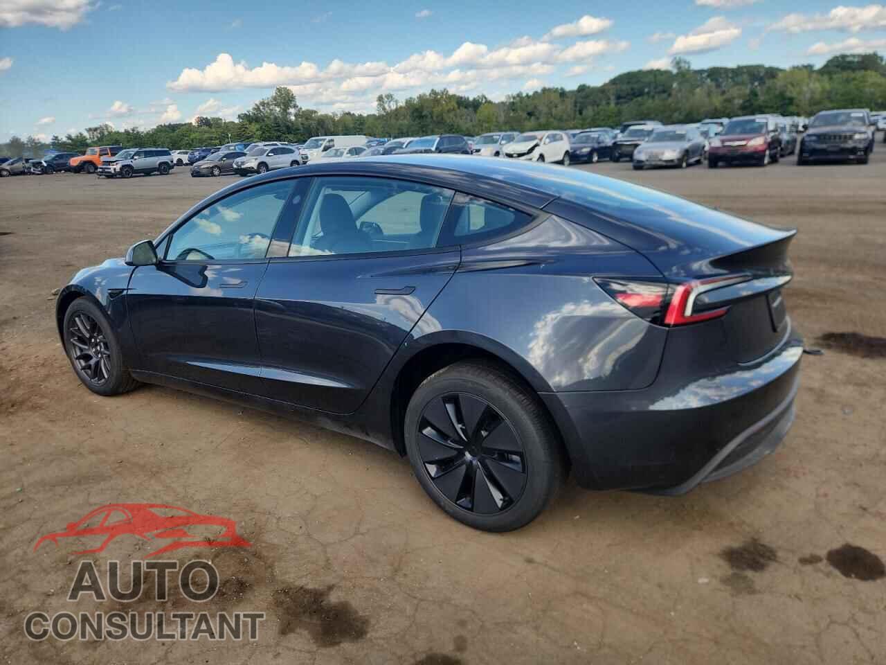 TESLA MODEL 3 2025 - 5YJ3E1EB2SF003548