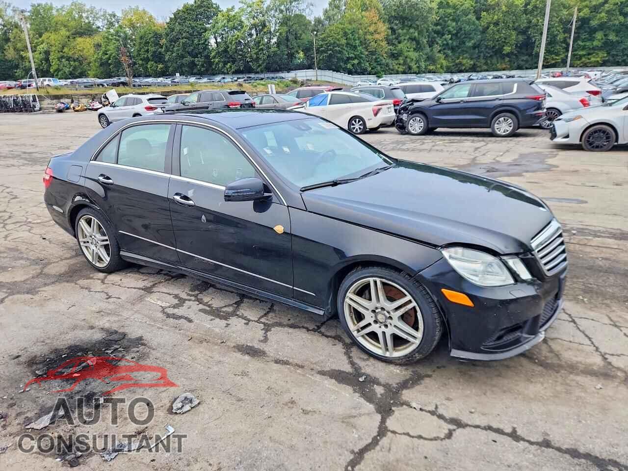 MERCEDES-BENZ E-CLASS 2010 - WDDHF8HB9AA259271