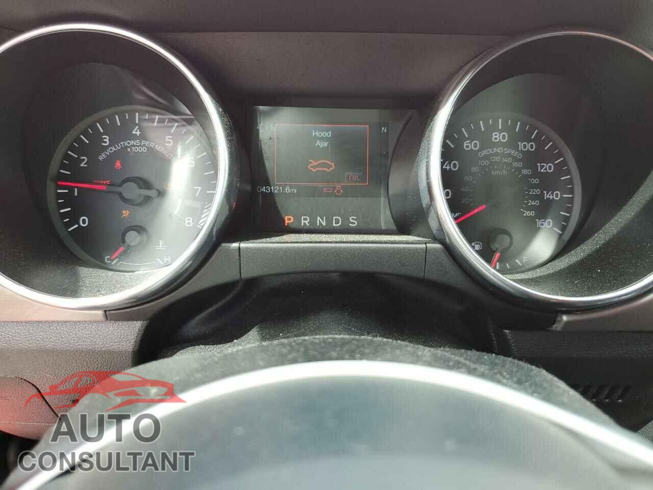 FORD MUSTANG 2019 - 1FA6P8CFXK5147006