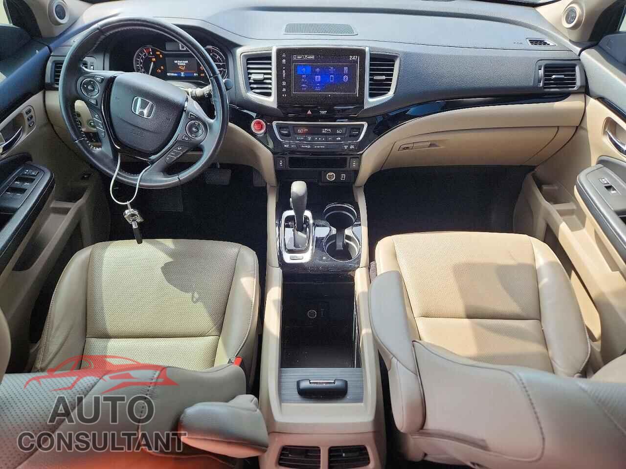HONDA RIDGELINE 2019 - 5FPYK3F75KB036894