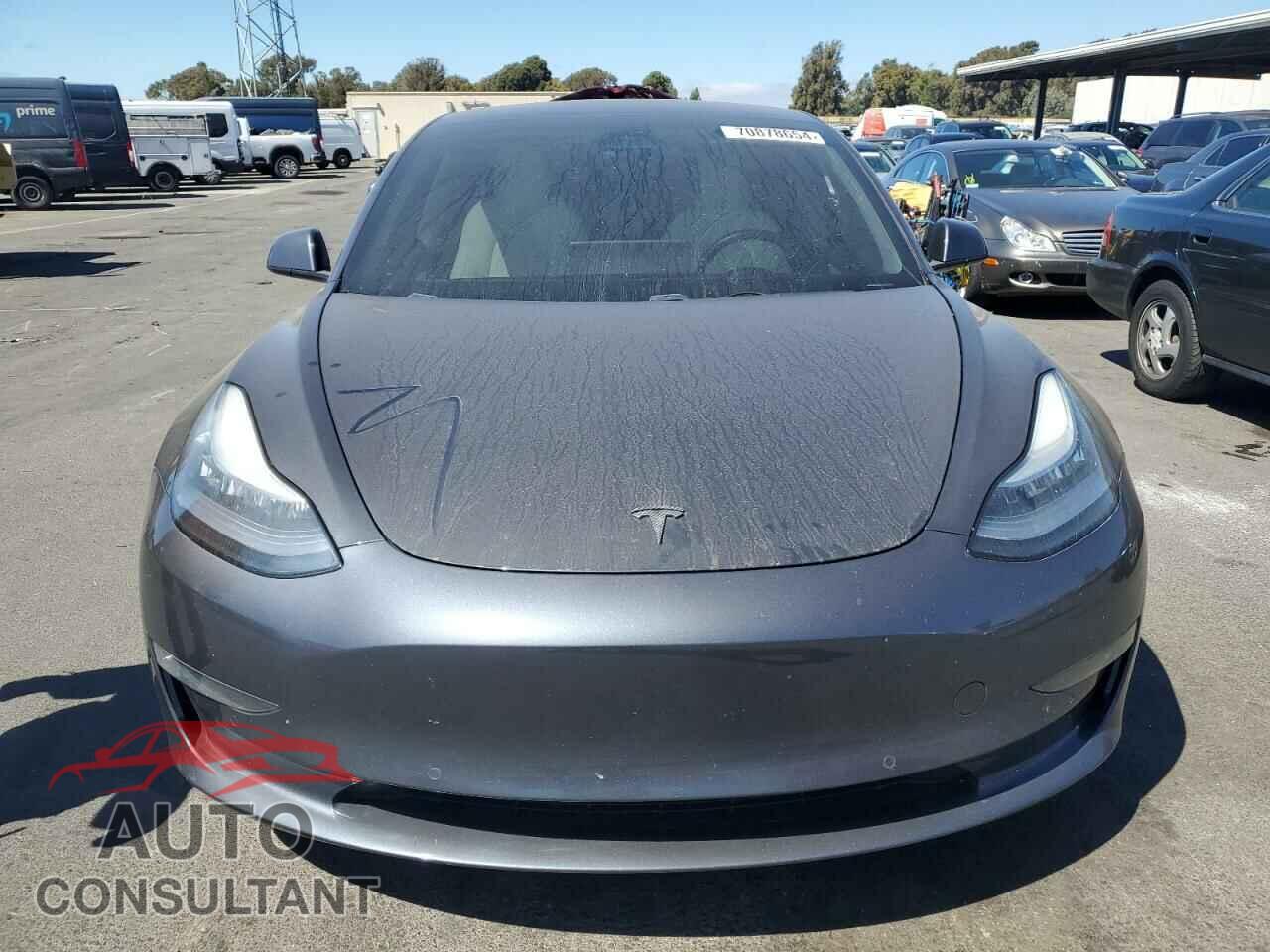 TESLA MODEL 3 2019 - 5YJ3E1EB3KF393401