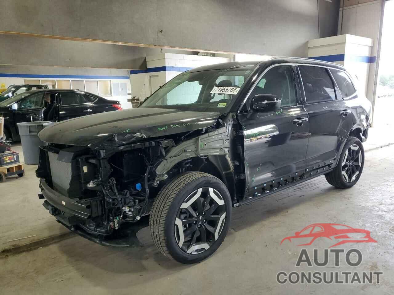 KIA TELLURIDE 2024 - 5XYP6DGC7RG516884