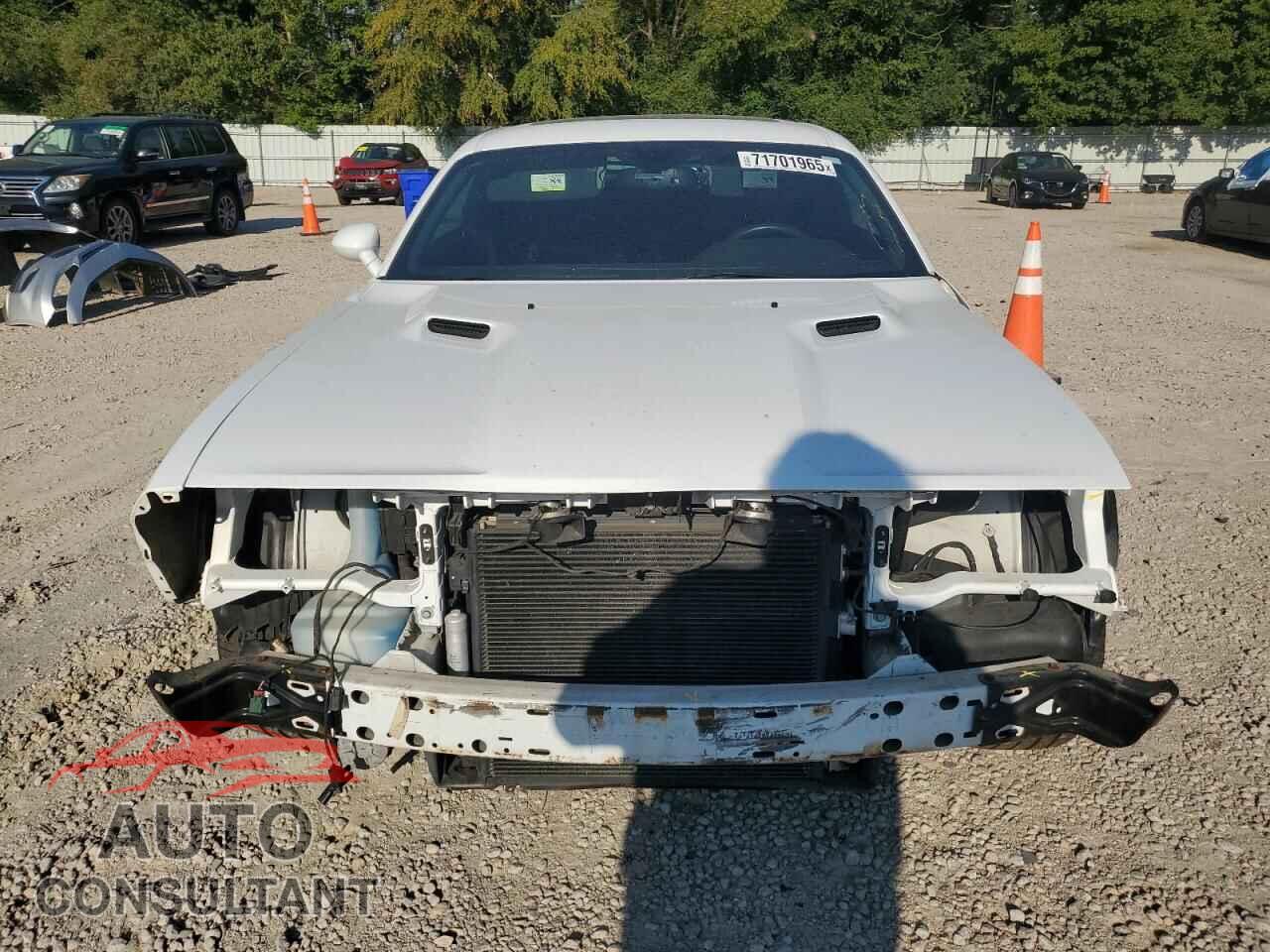 DODGE CHALLENGER 2013 - 2C3CDYAG4DH524852