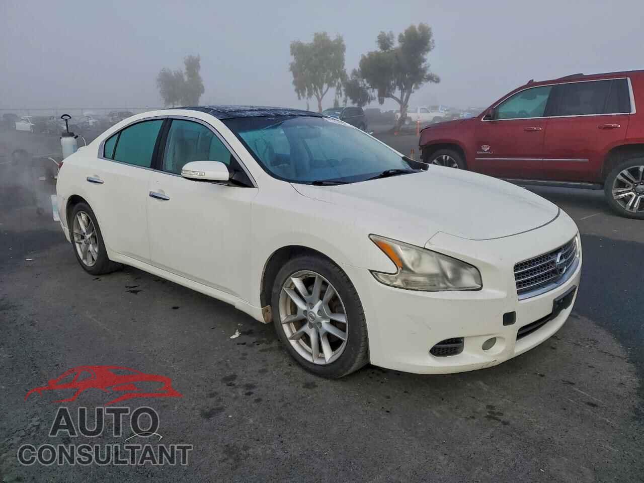 NISSAN MAXIMA 2010 - 1N4AA5AP3AC842072