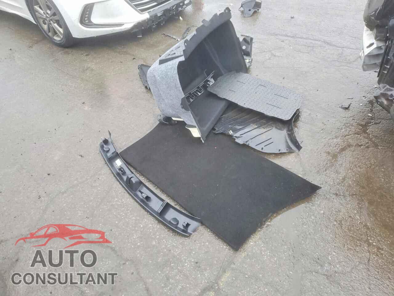 TESLA MODEL Y 2024 - 7SAYGDED2RF156334