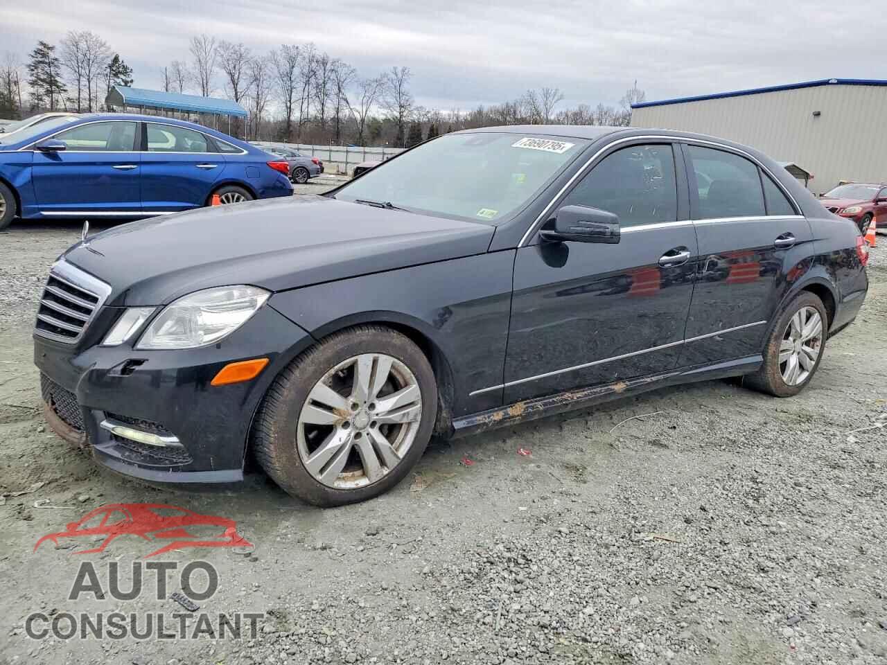 MERCEDES-BENZ E-CLASS 2013 - WDDHF2EB2DA674499