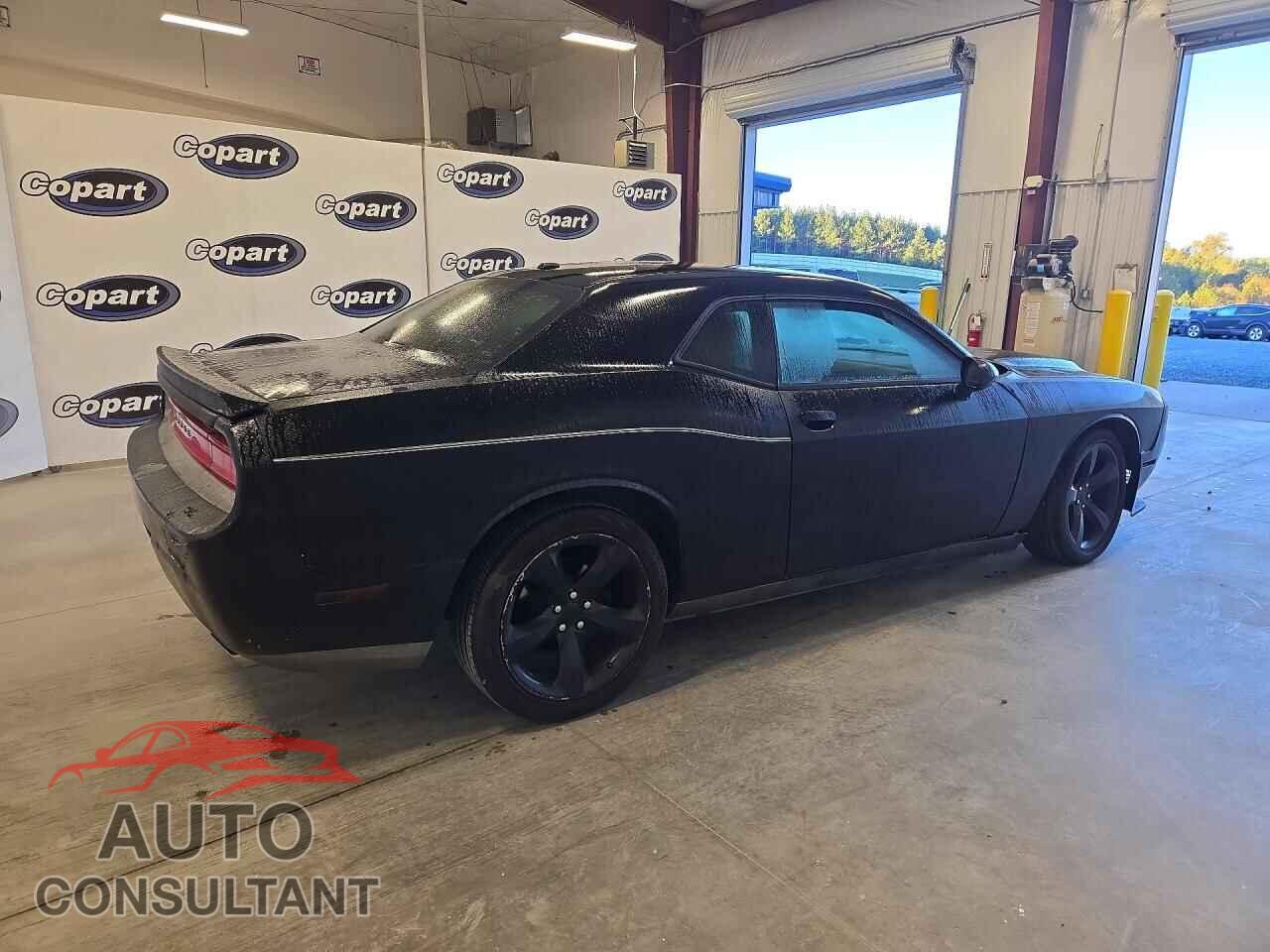 DODGE CHALLENGER 2014 - 2C3CDYAG0EH205160