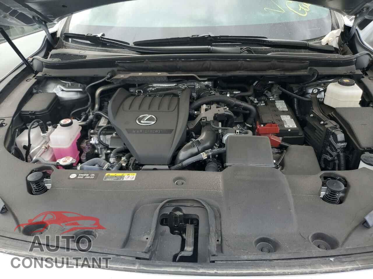LEXUS RX350 2023 - 2T2BAMBA5PC017066