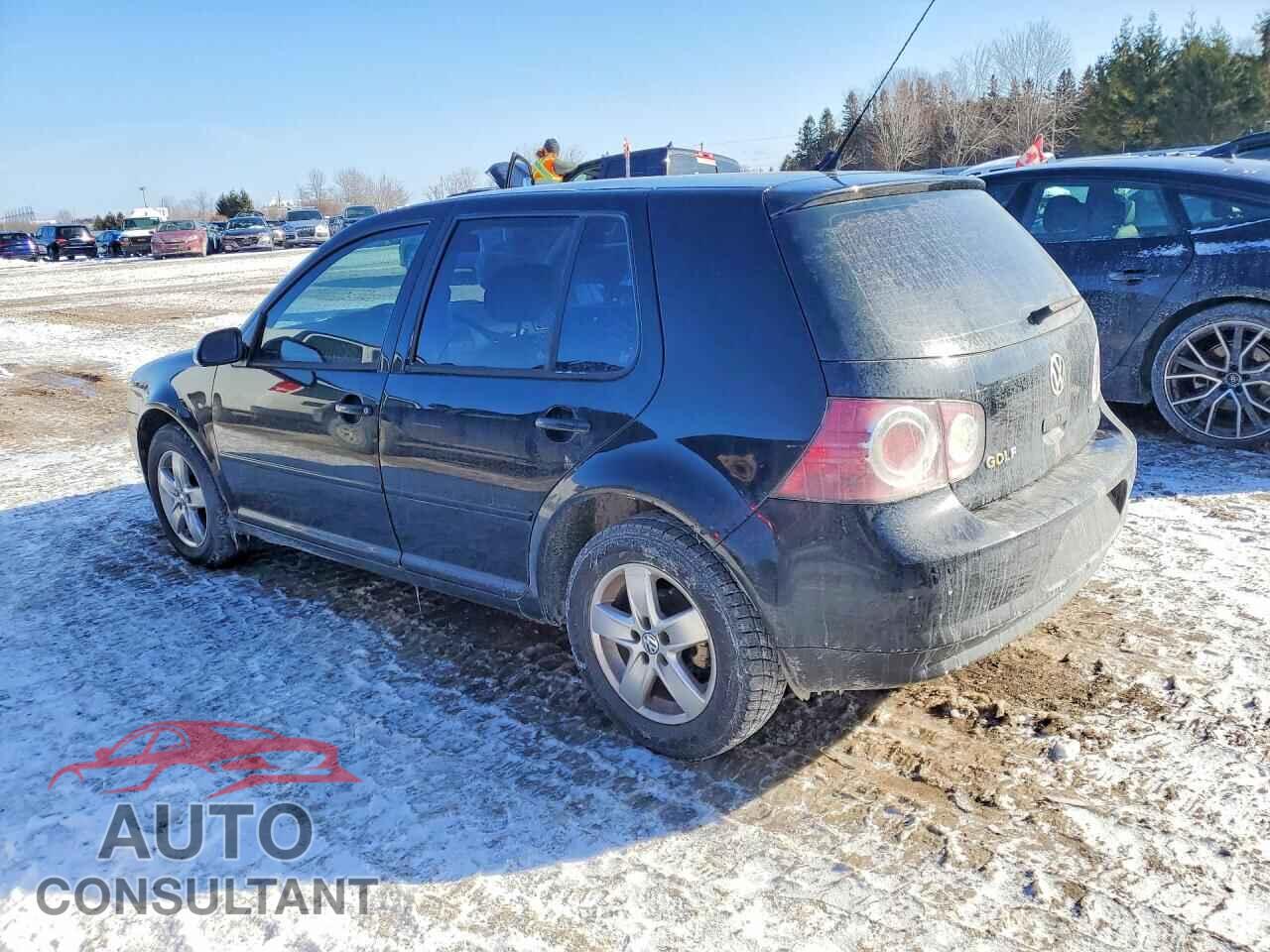 VOLKSWAGEN GOLF 2010 - 9BWEL4BE0A4002490