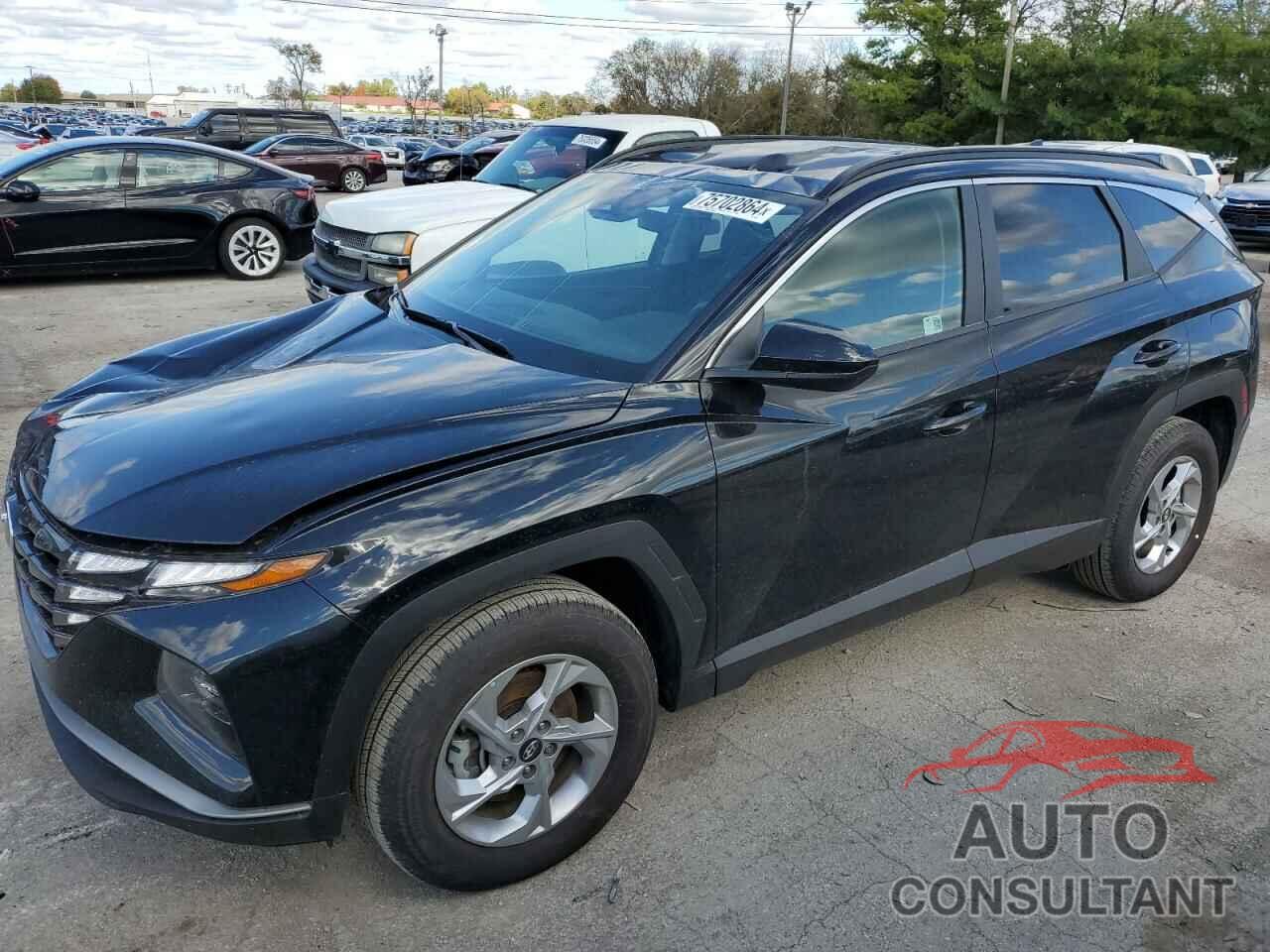 HYUNDAI TUCSON 2024 - 5NMJBCDE4RH375456