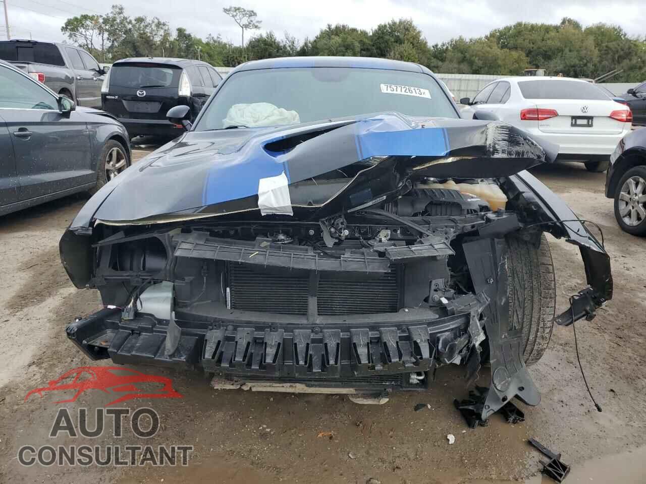 DODGE CHALLENGER 2019 - 2C3CDZFJ1KH591299