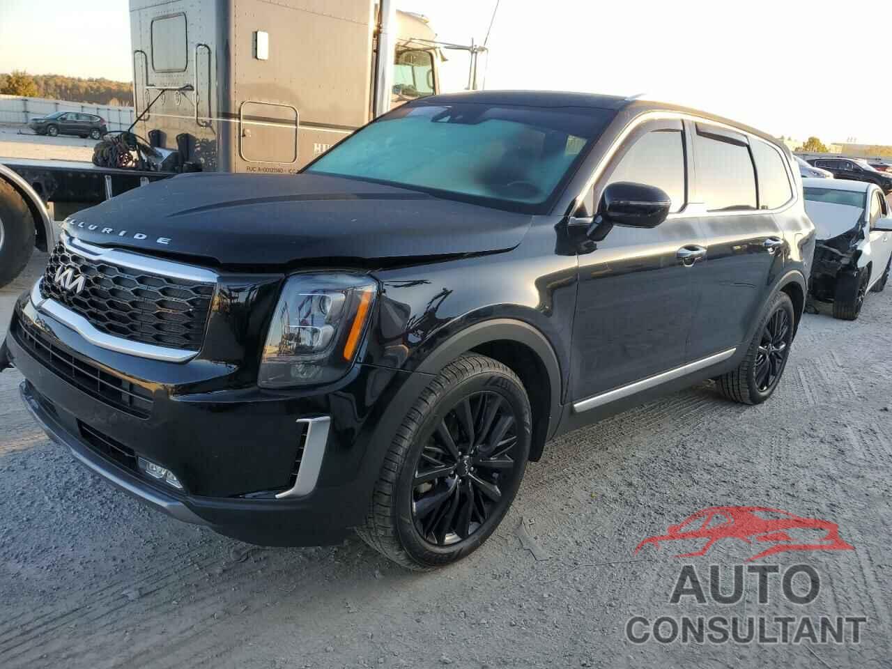 KIA TELLURIDE 2022 - 5XYP5DHC8NG286462