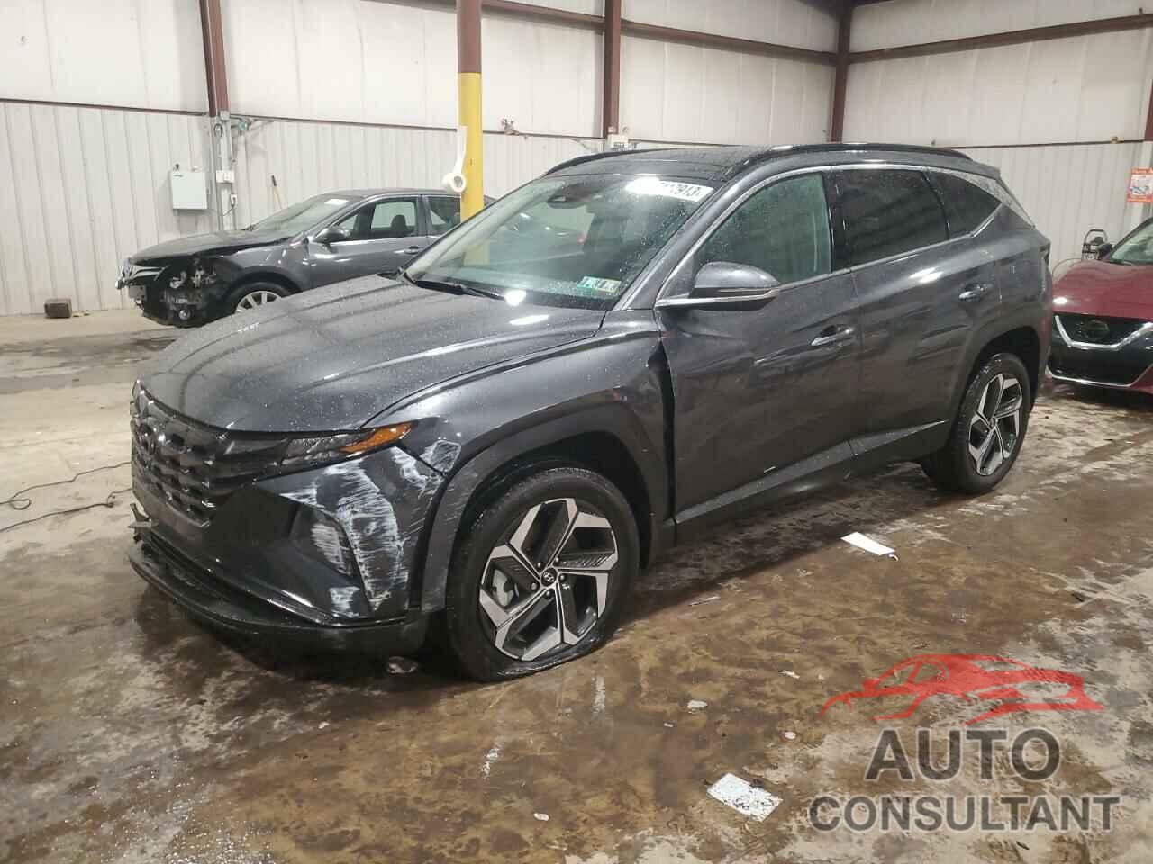 HYUNDAI TUCSON 2023 - 5NMJECAE4PH275947