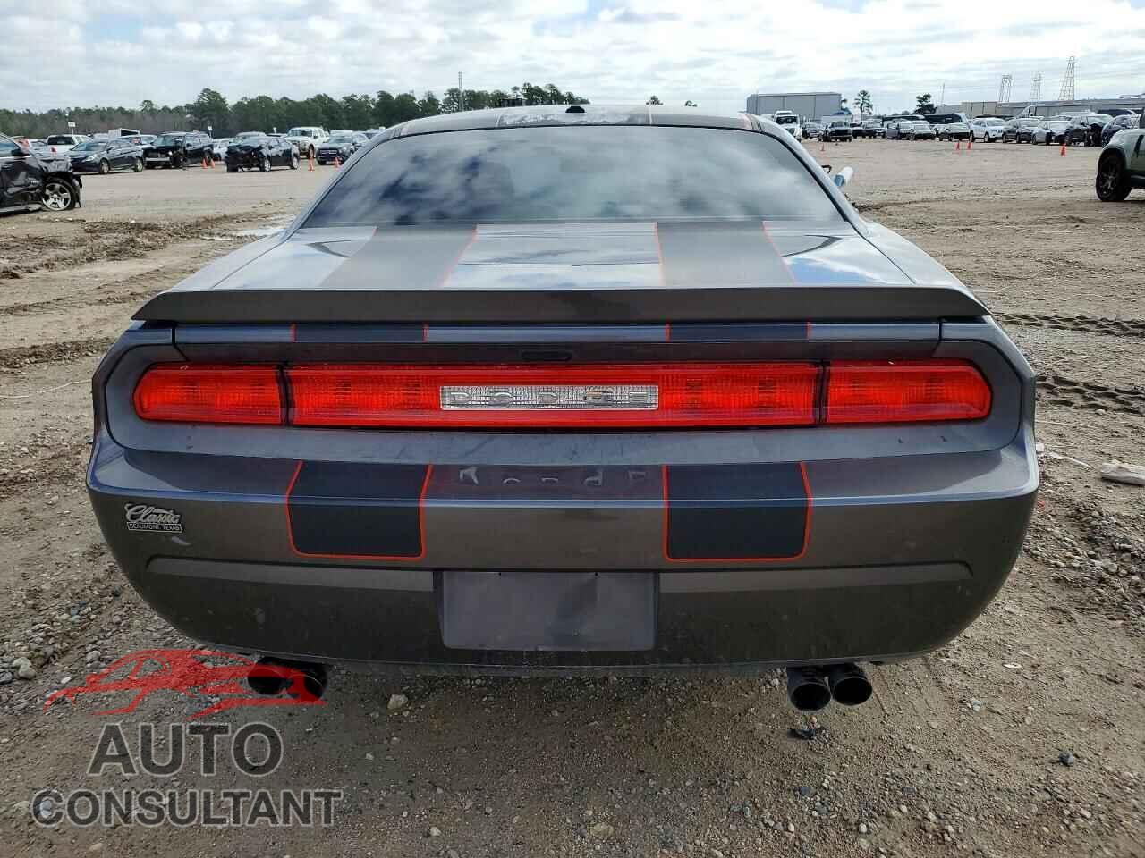 DODGE CHALLENGER 2014 - 2C3CDYBT3EH152868
