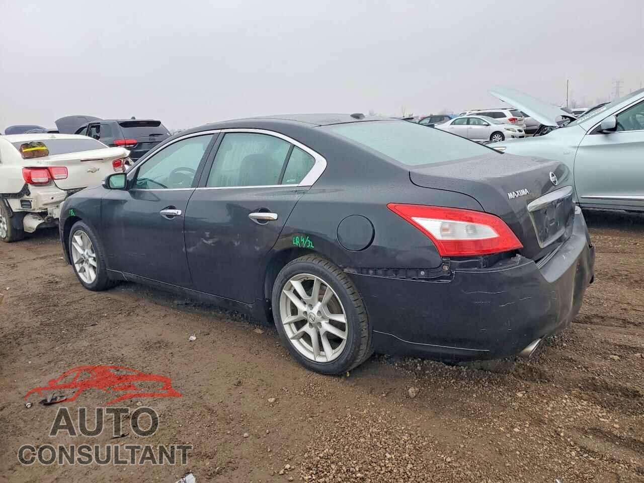 NISSAN MAXIMA 2011 - 1N4AA5AP2BC854098