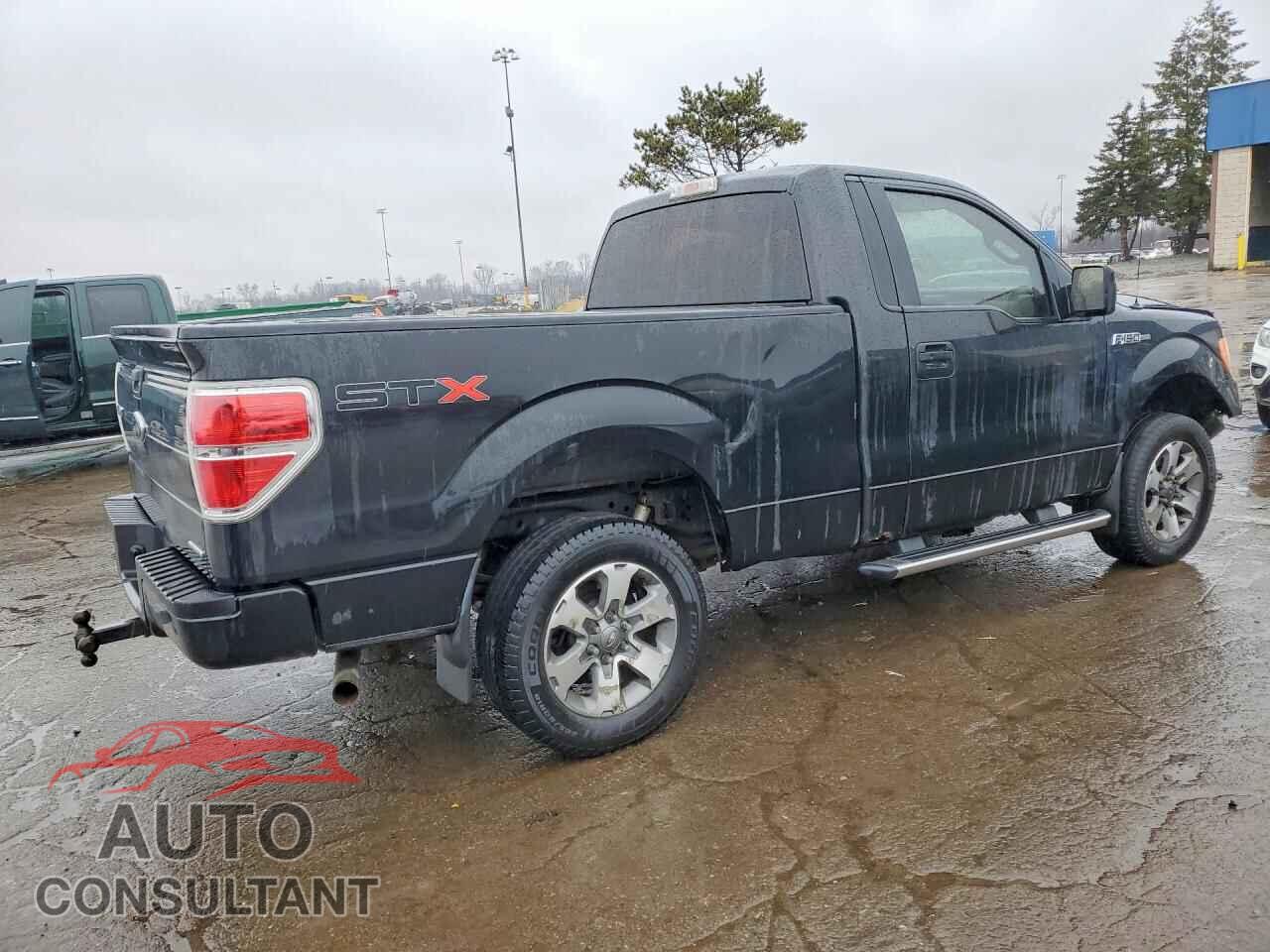 FORD F150 2013 - 1FTMF1CM8DFB18756