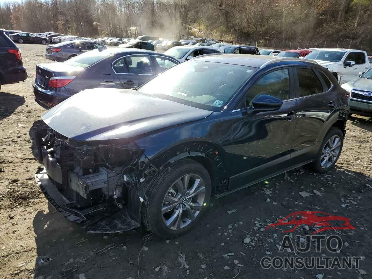 MAZDA CX30 2024 - 3MVDMBCM7RM614052