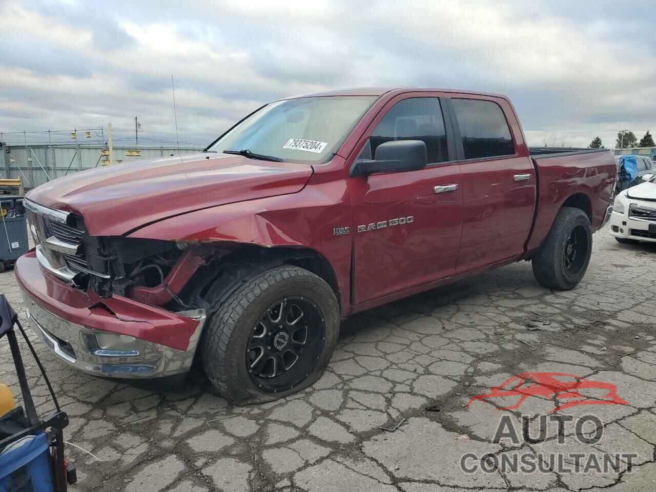 DODGE All Models 2011 - 1D7RV1CT1BS597922