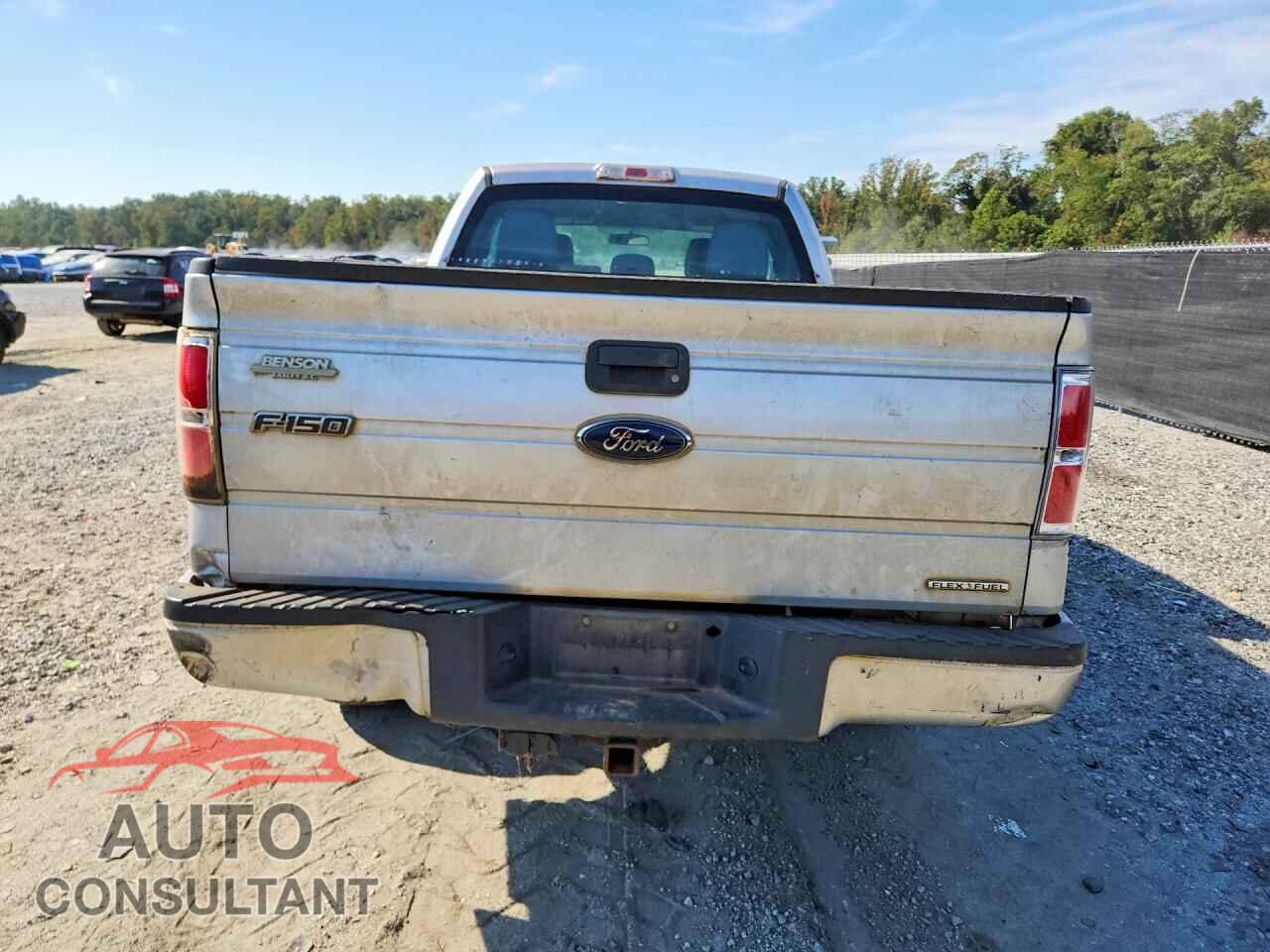 FORD F150 2014 - 1FTFX1CF5EFA66365