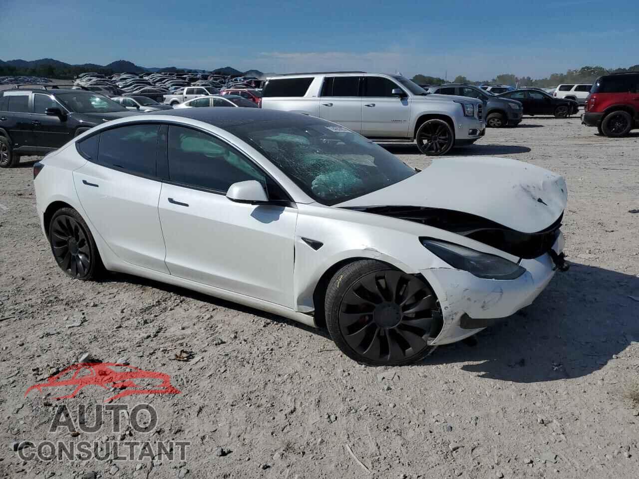 TESLA MODEL 3 2021 - 5YJ3E1EC1MF992373