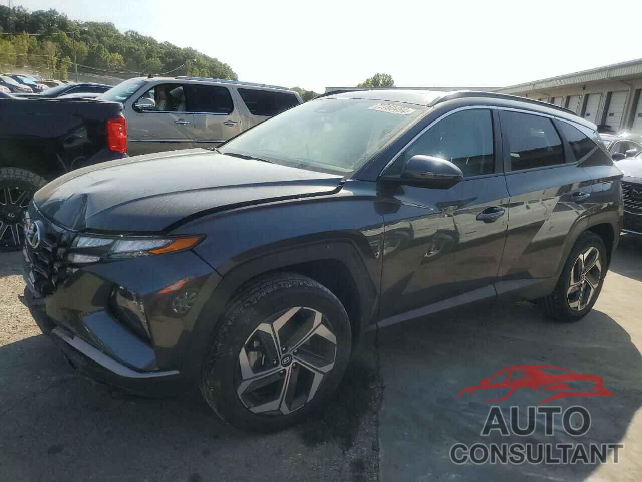 HYUNDAI TUCSON 2023 - 5NMJFCAE6PH246561