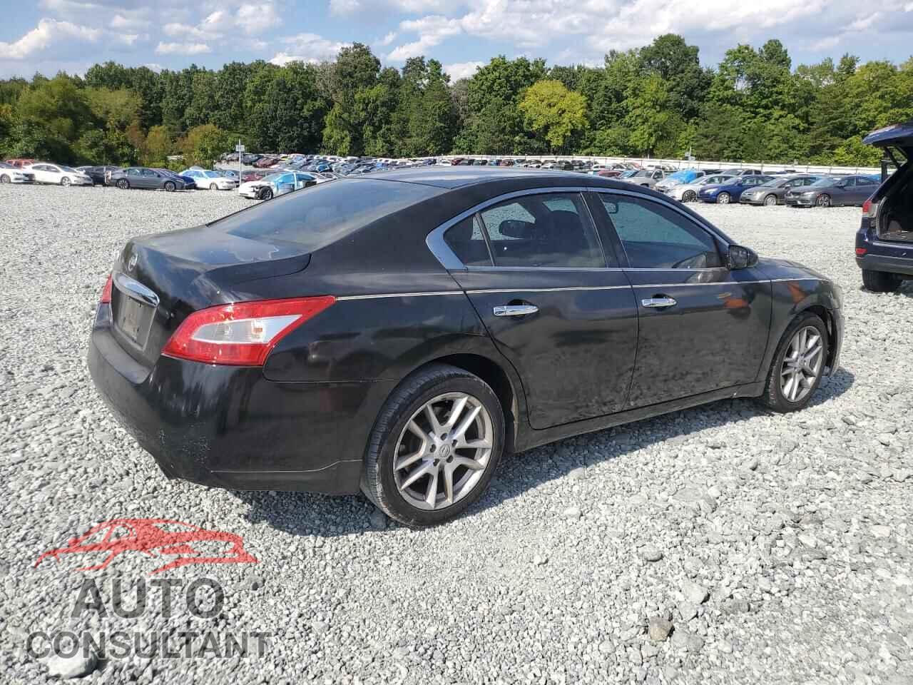 NISSAN MAXIMA 2009 - 1N4AA51EX9C827563