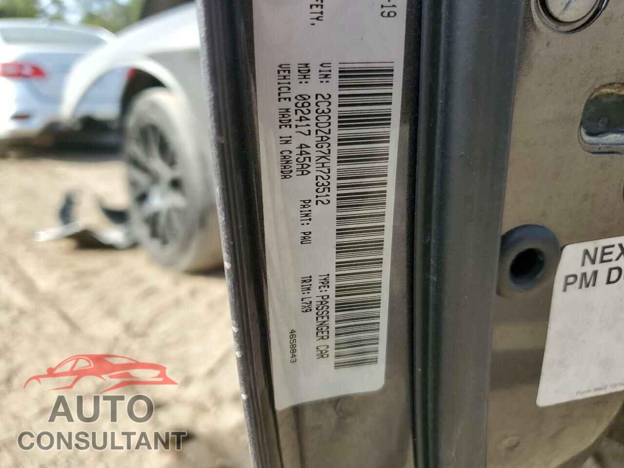 DODGE CHALLENGER 2019 - 2C3CDZAG7KH723512