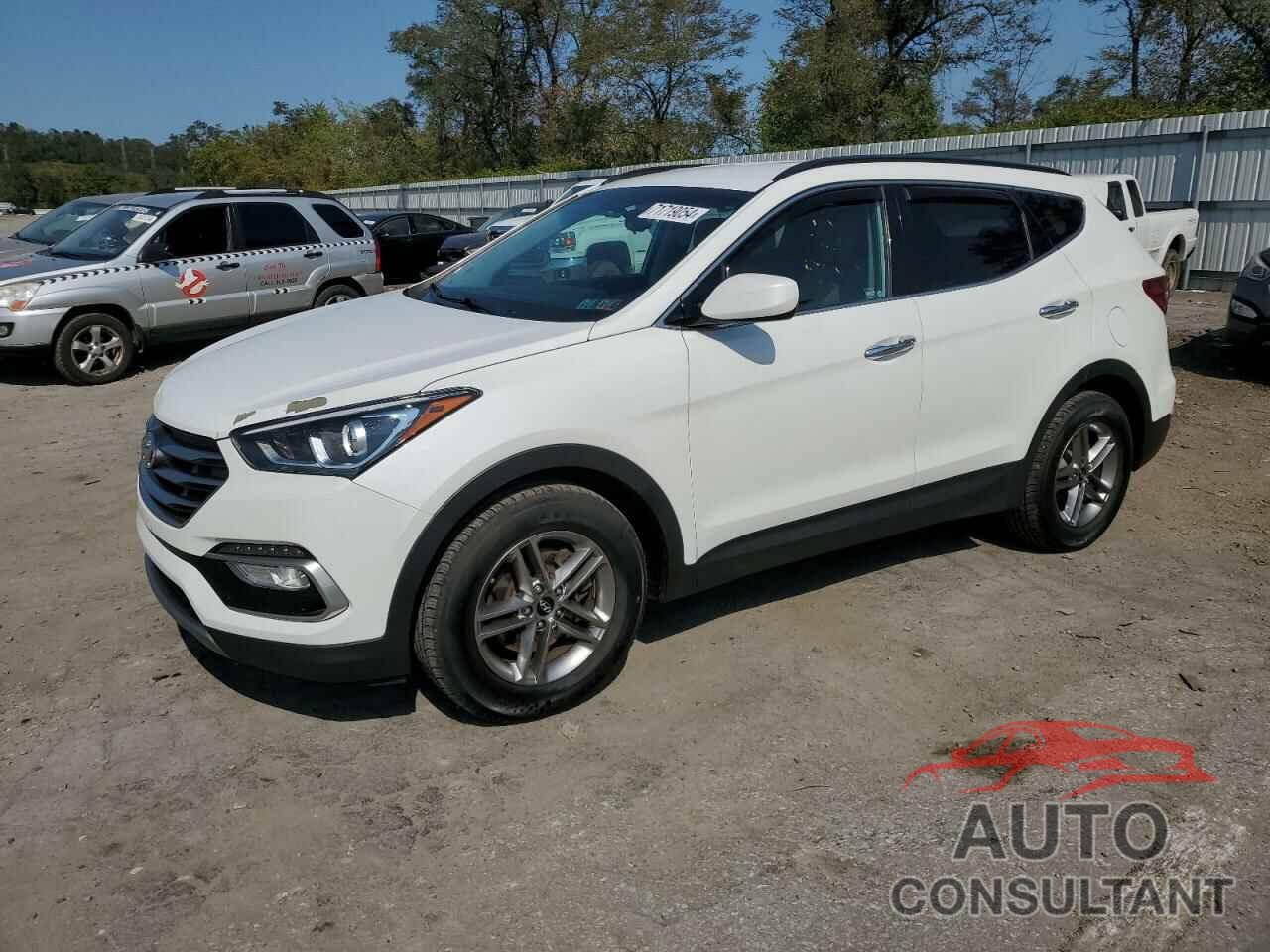 HYUNDAI SANTA FE 2017 - 5NMZUDLB9HH023272