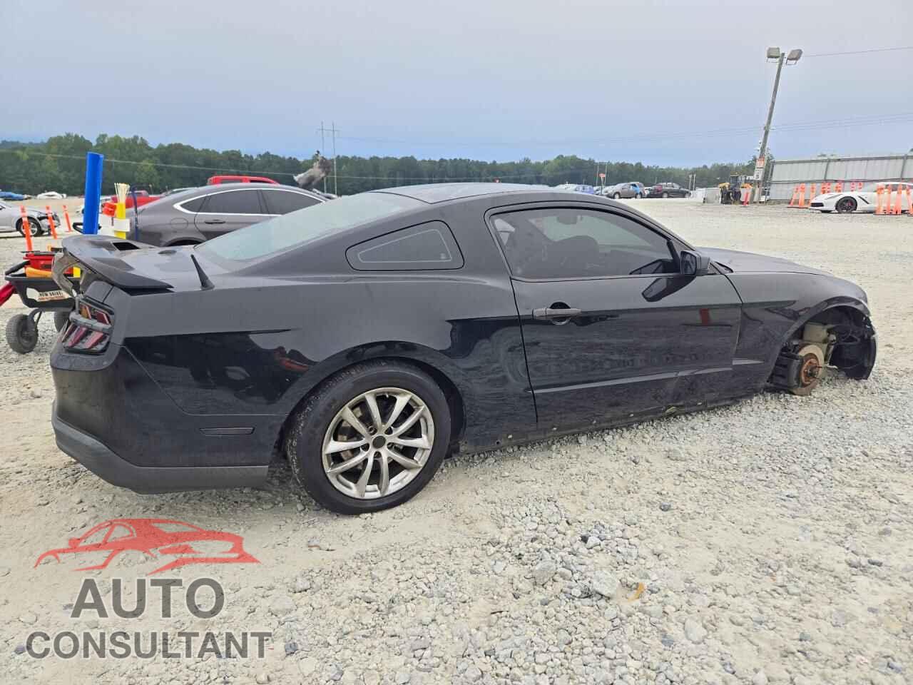 FORD MUSTANG 2011 - 1ZVBP8AM4B5155643