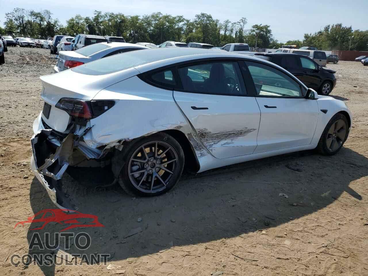 TESLA MODEL 3 2021 - 5YJ3E1EA2MF027889