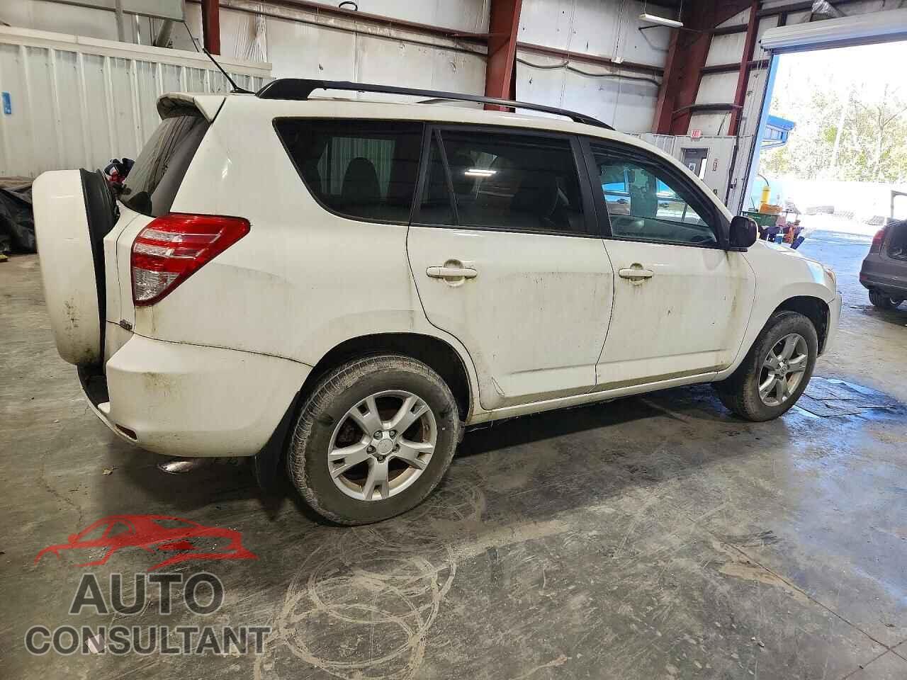 TOYOTA RAV4 2011 - 2T3BF4DV4BW153905