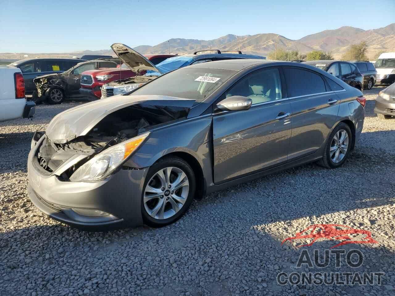 HYUNDAI SONATA 2013 - 5NPEC4AC4DH701193