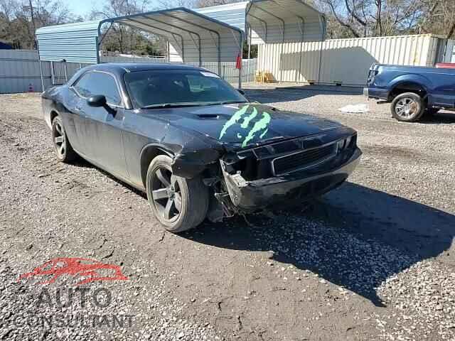 DODGE CHALLENGER 2013 - 2C3CDYAG5DH729015