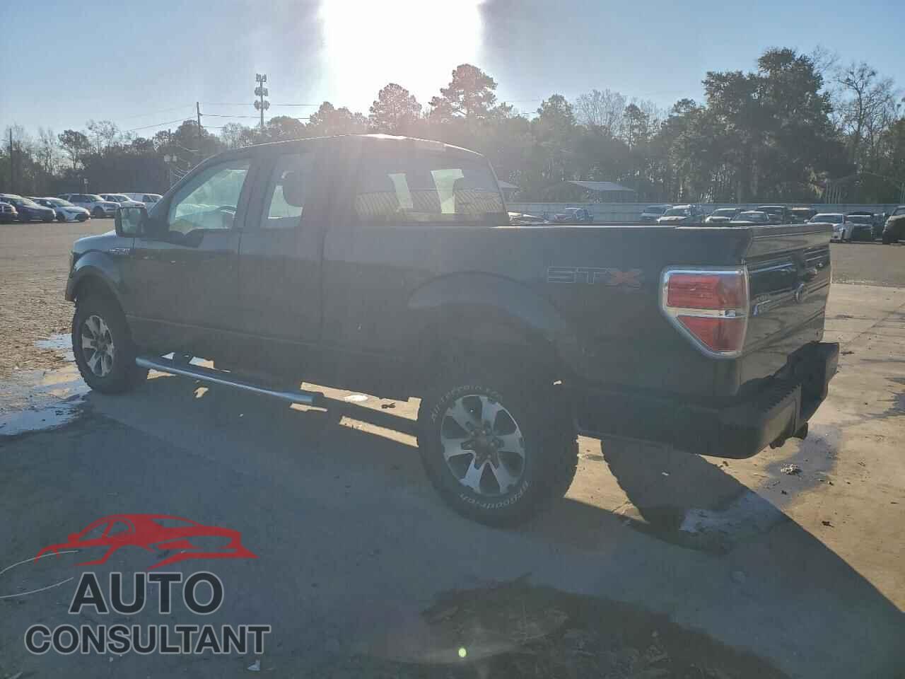 FORD F-150 2013 - 1FTFX1EF3DFD62027