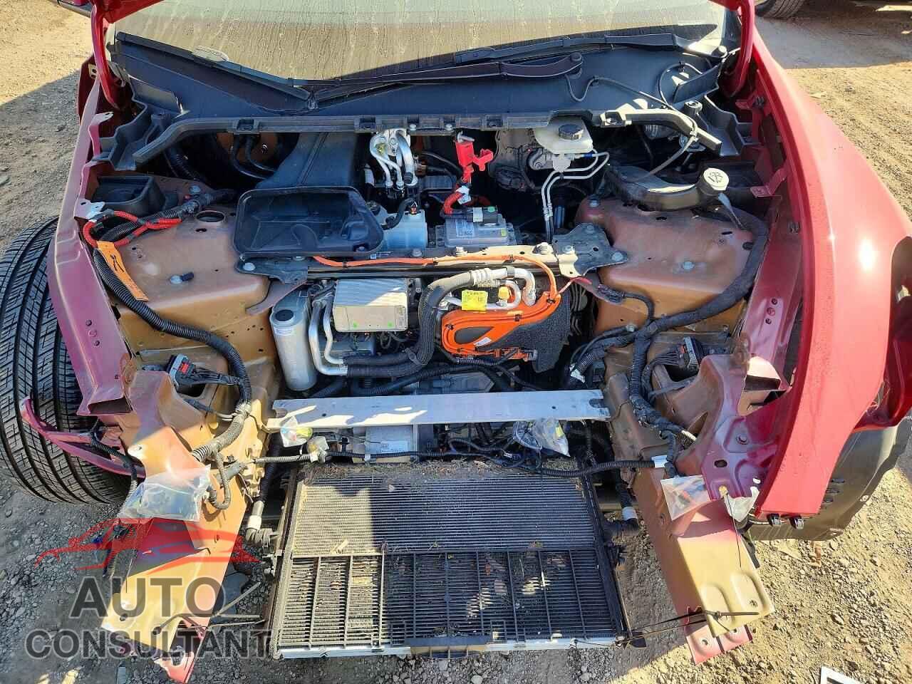 TESLA MODEL Y 2022 - 7SAYGDEF5NF546940