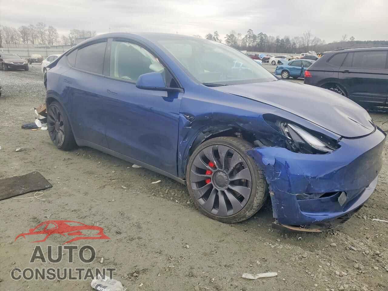 TESLA MODEL Y 2024 - 7SAYGDEF5RF058982
