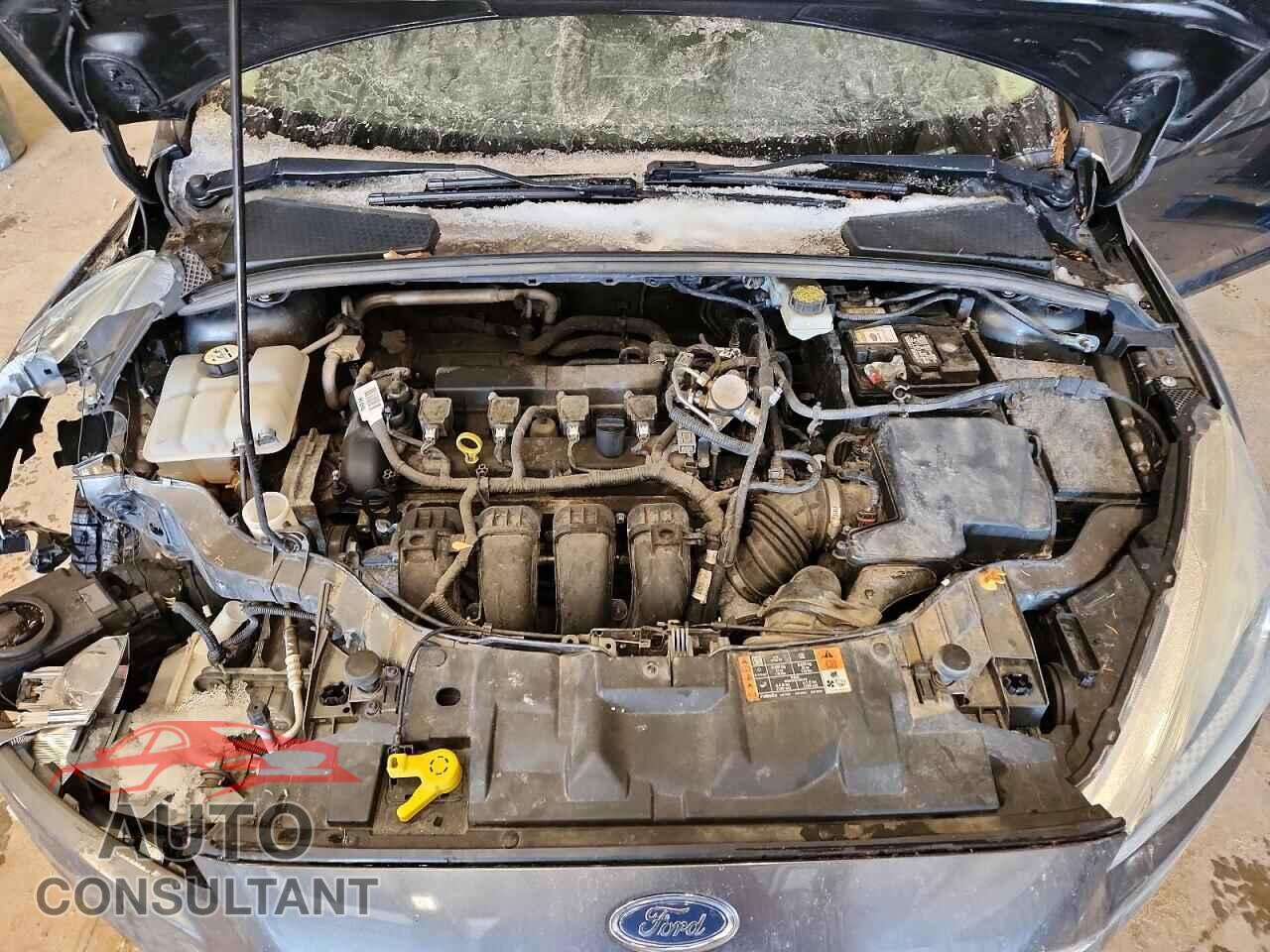 FORD FOCUS 2017 - 1FADP3F2XHL205798