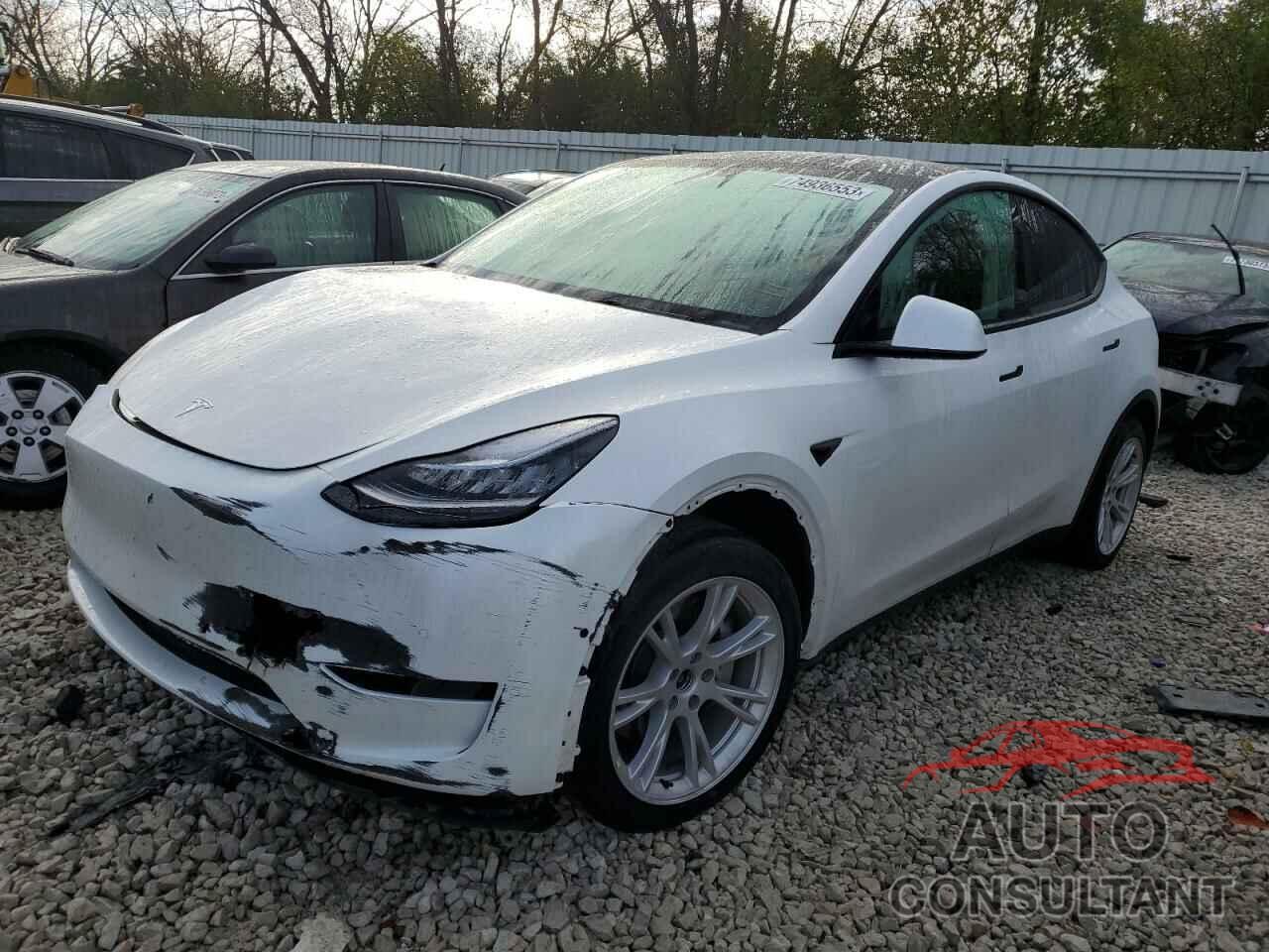 TESLA MODEL Y 2021 - 5YJYGDEE8MF241175