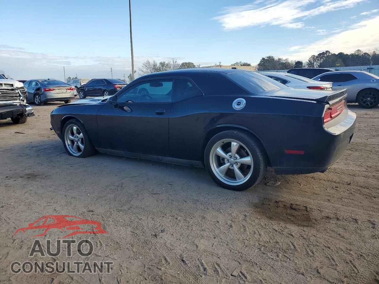 DODGE CHALLENGER 2014 - 2C3CDYBT1EH101899