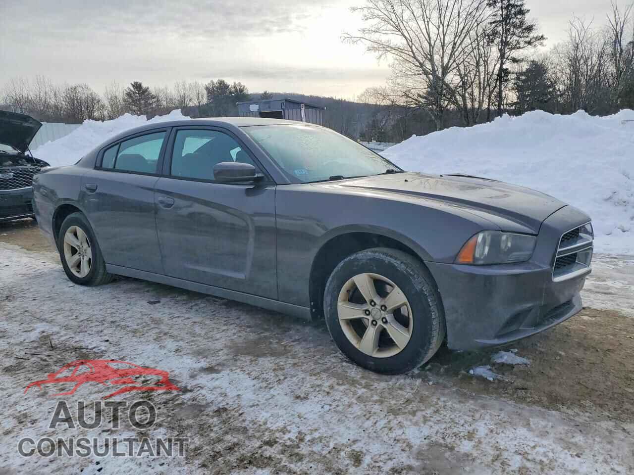 DODGE CHARGER 2013 - 2C3CDXBG6DH555481
