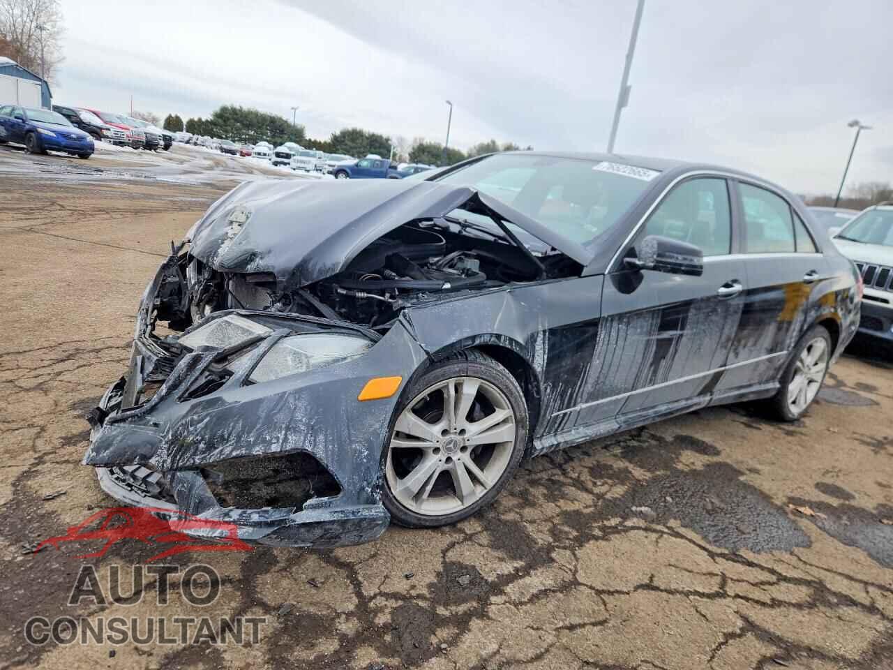 MERCEDES-BENZ E-CLASS 2013 - WDDHF8JB6DA700174
