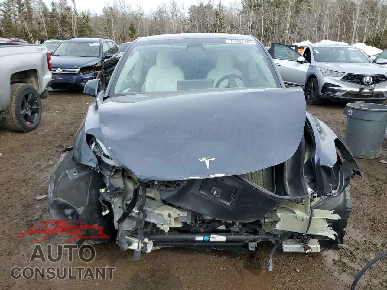 TESLA MODEL Y 2022 - 7SAYGDEE5NF535525