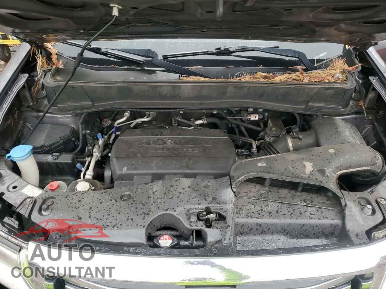 HONDA PILOT 2015 - 5FNYF4H2XFB025660