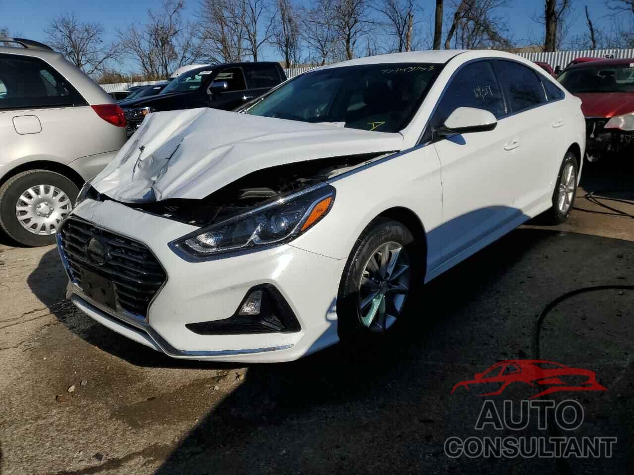 HYUNDAI SONATA 2019 - 5NPE24AF2KH739130