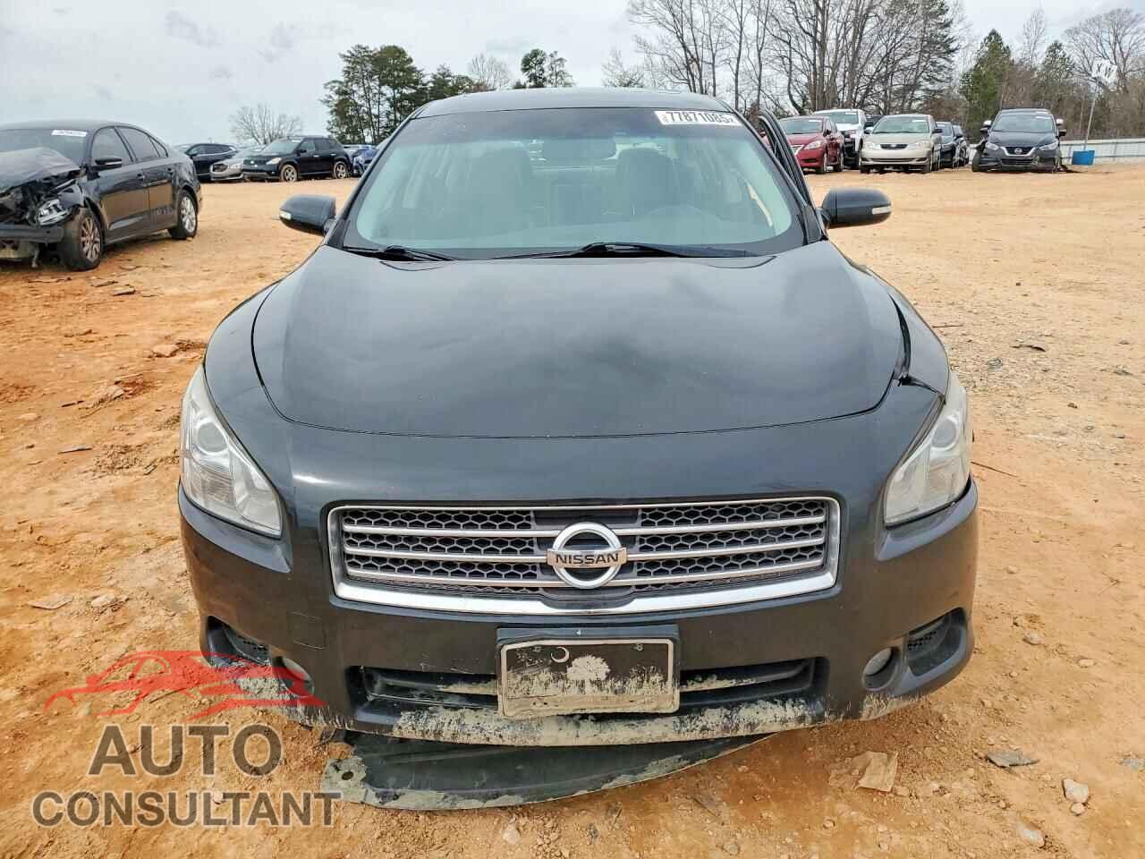 NISSAN MAXIMA 2011 - 1N4AA5AP1BC862905