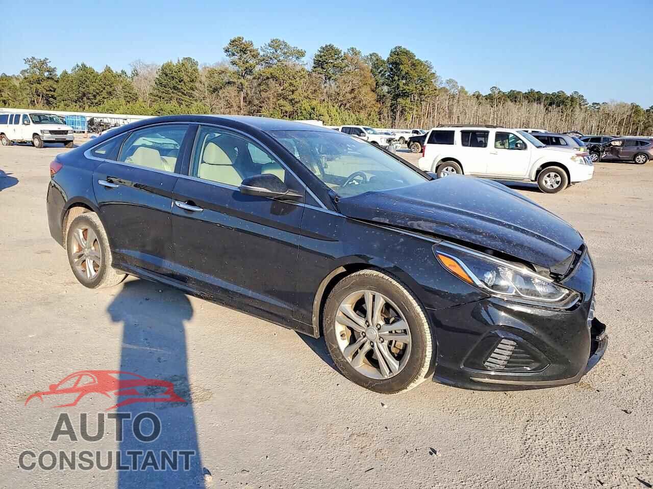 HYUNDAI SONATA 2019 - 5NPE34AF3KH789080